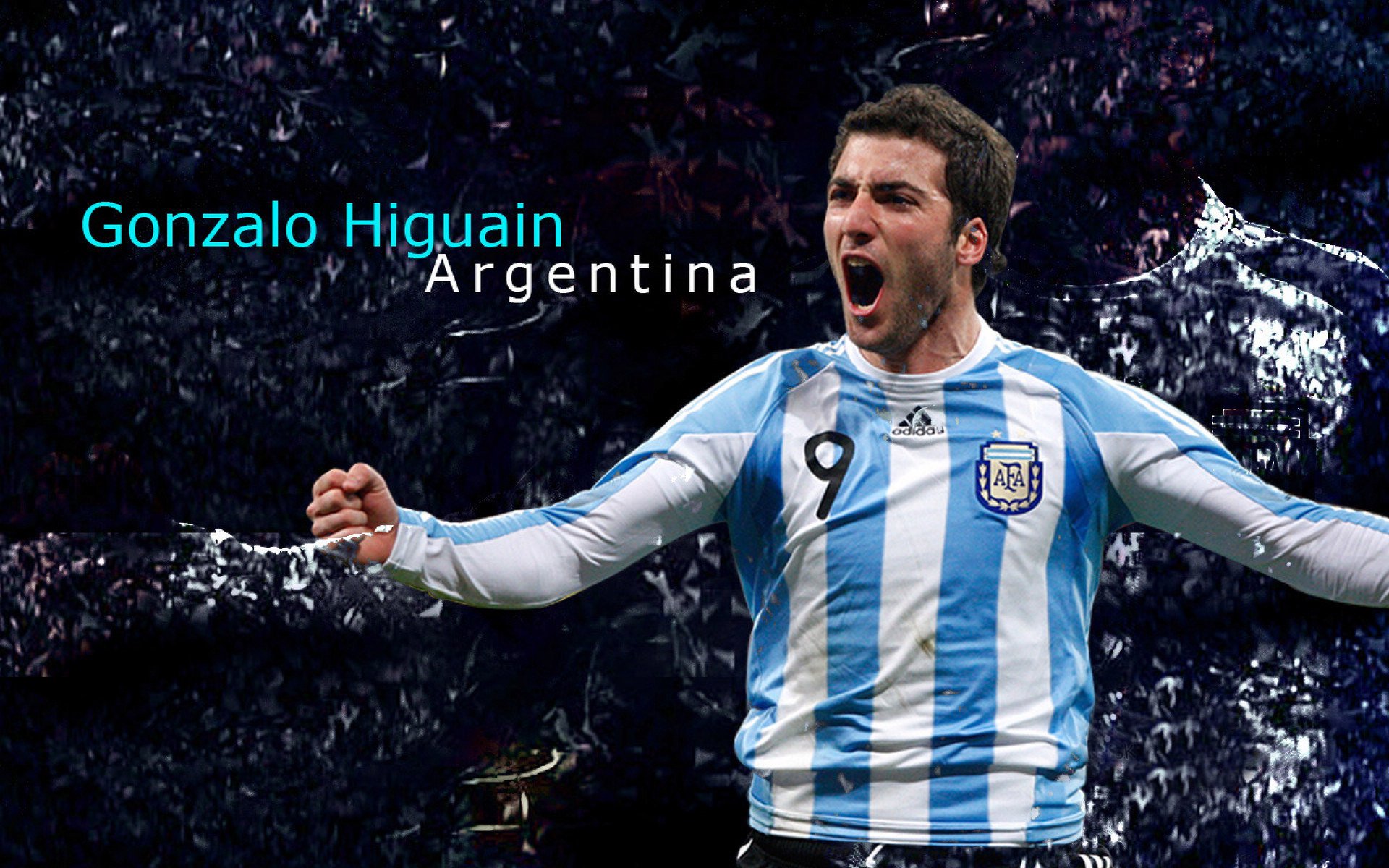 新西兰全黑队在比赛中以极高的战术执行力牢牢把控局面，橄榄球新西兰全黑队对澳大利亚队