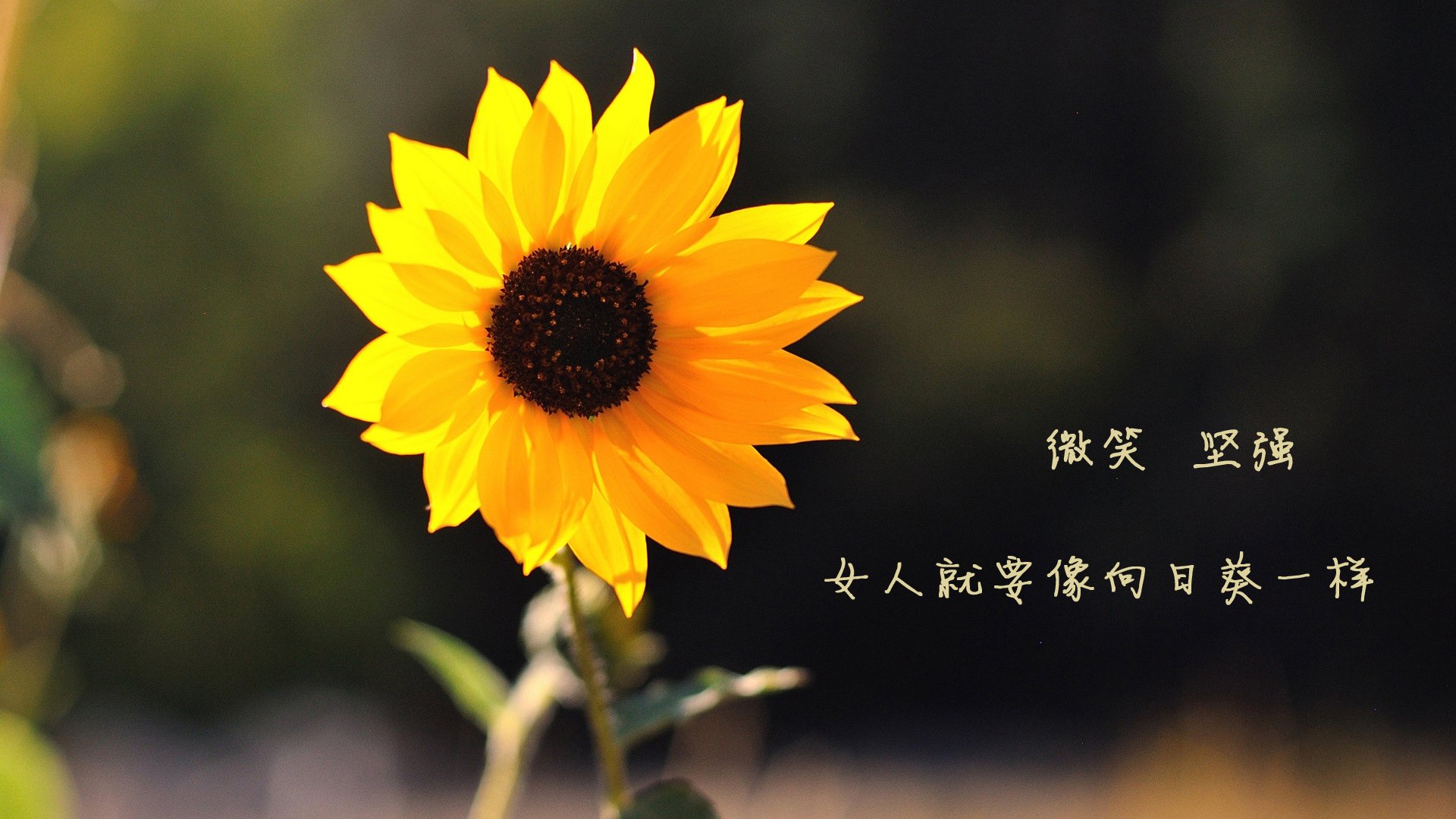 开云真人-_星空中的瑜伽大会：在宇宙之下放松身心_，星空瑜伽馆