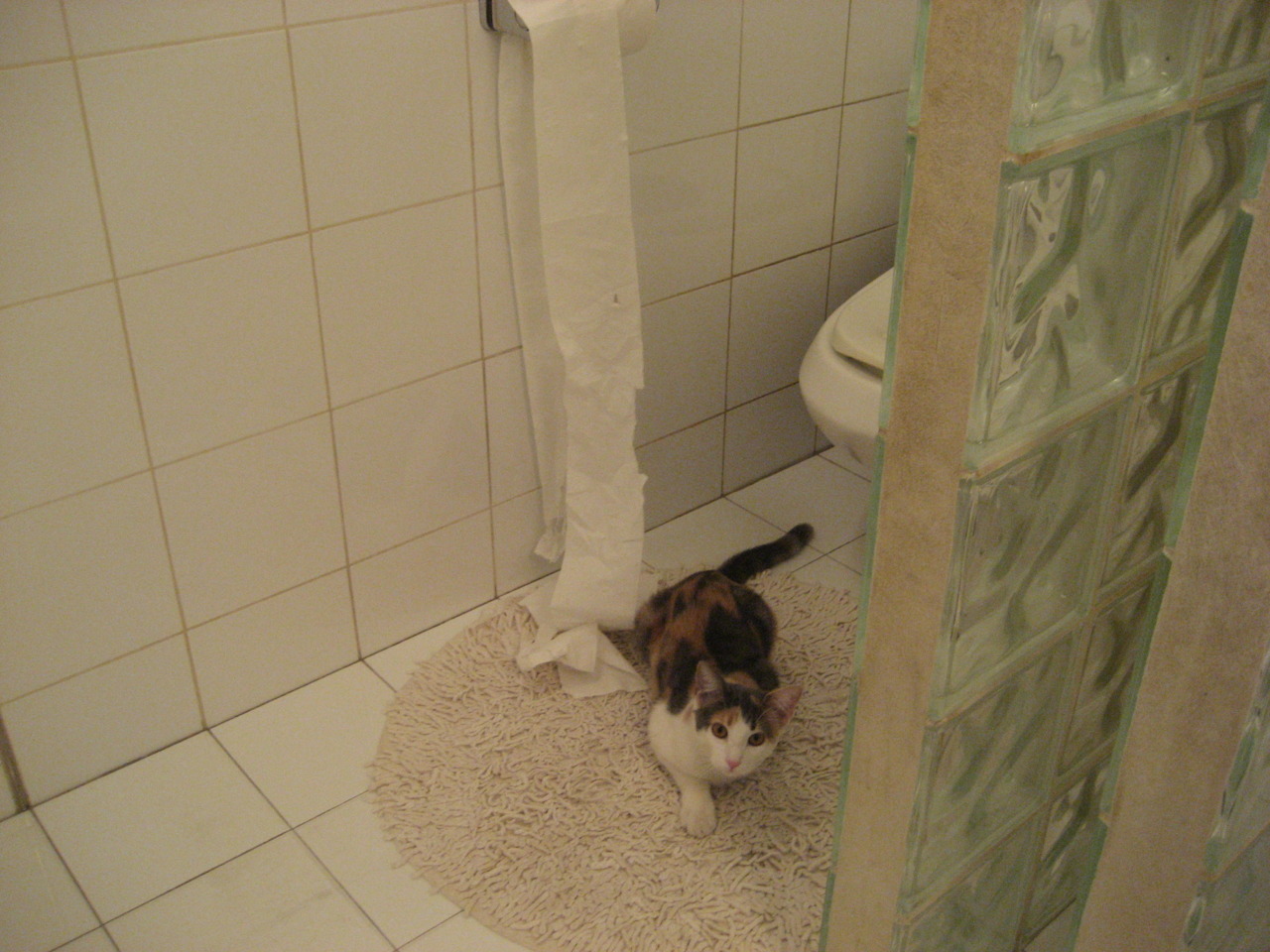 开云体育在线登入-悬崖跳水赛：勇者无惧的震撼一跃，悬崖跳水危险吗